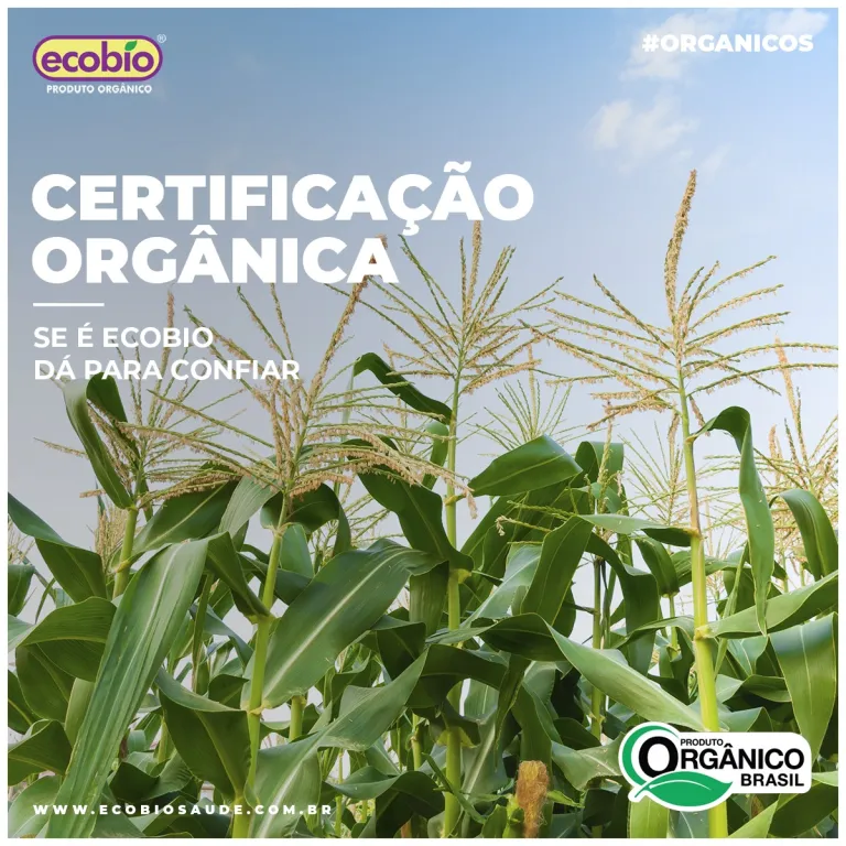 Certificação Orgânica